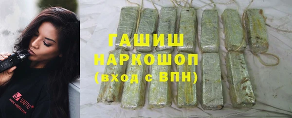 индика Новодвинск