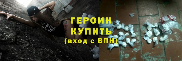 индика Новодвинск