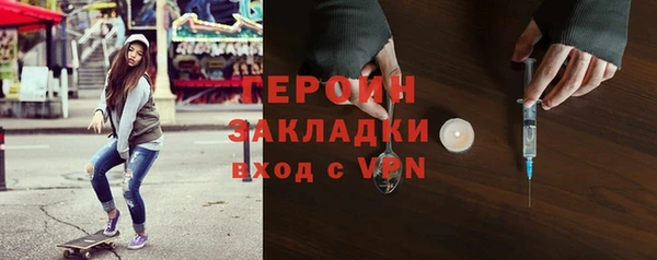 индика Новодвинск