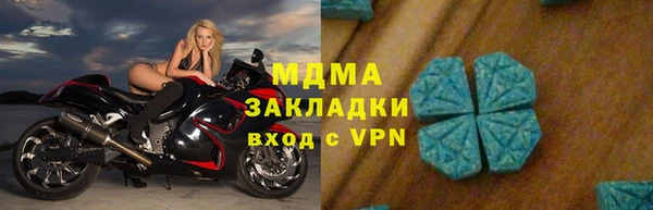 индика Новодвинск