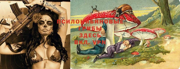 индика Новодвинск