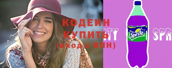 индика Новодвинск