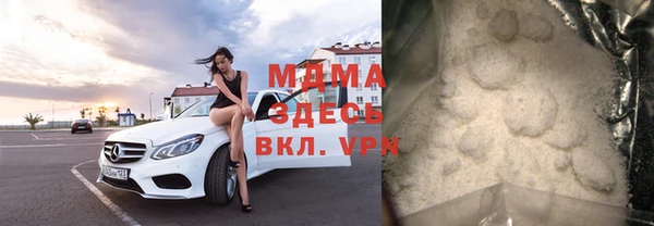 индика Новодвинск