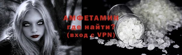 гашик Болотное