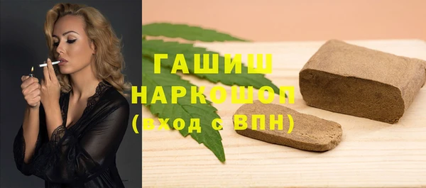 индика Новодвинск