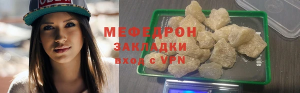 индика Новодвинск