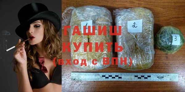 индика Новодвинск