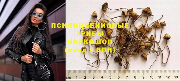 стаф Болхов
