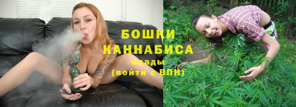 индика Новодвинск