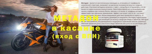 индика Новодвинск