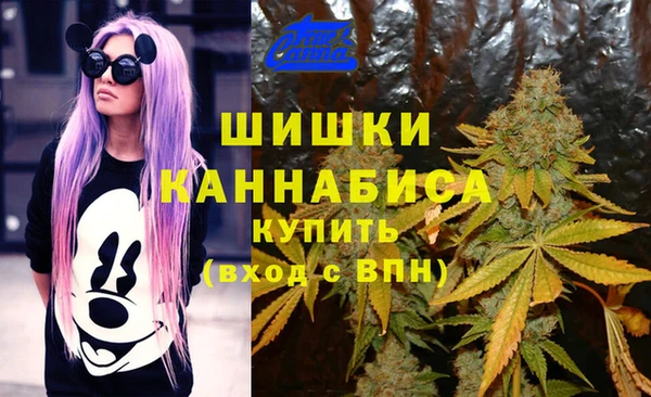 гашик Болотное