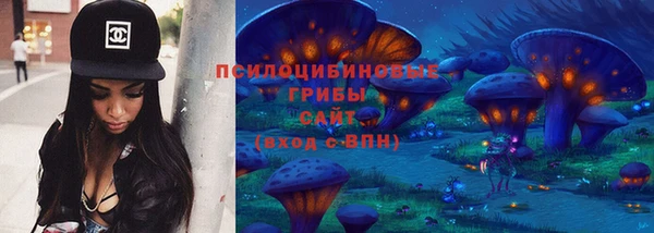 индика Новодвинск