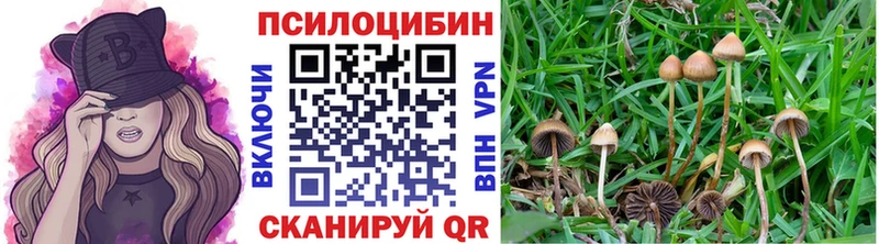 Псилоцибиновые грибы Psilocybe  продажа наркотиков  Малаховка 